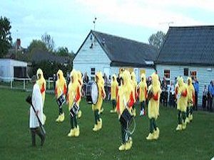 Chickens - 2002